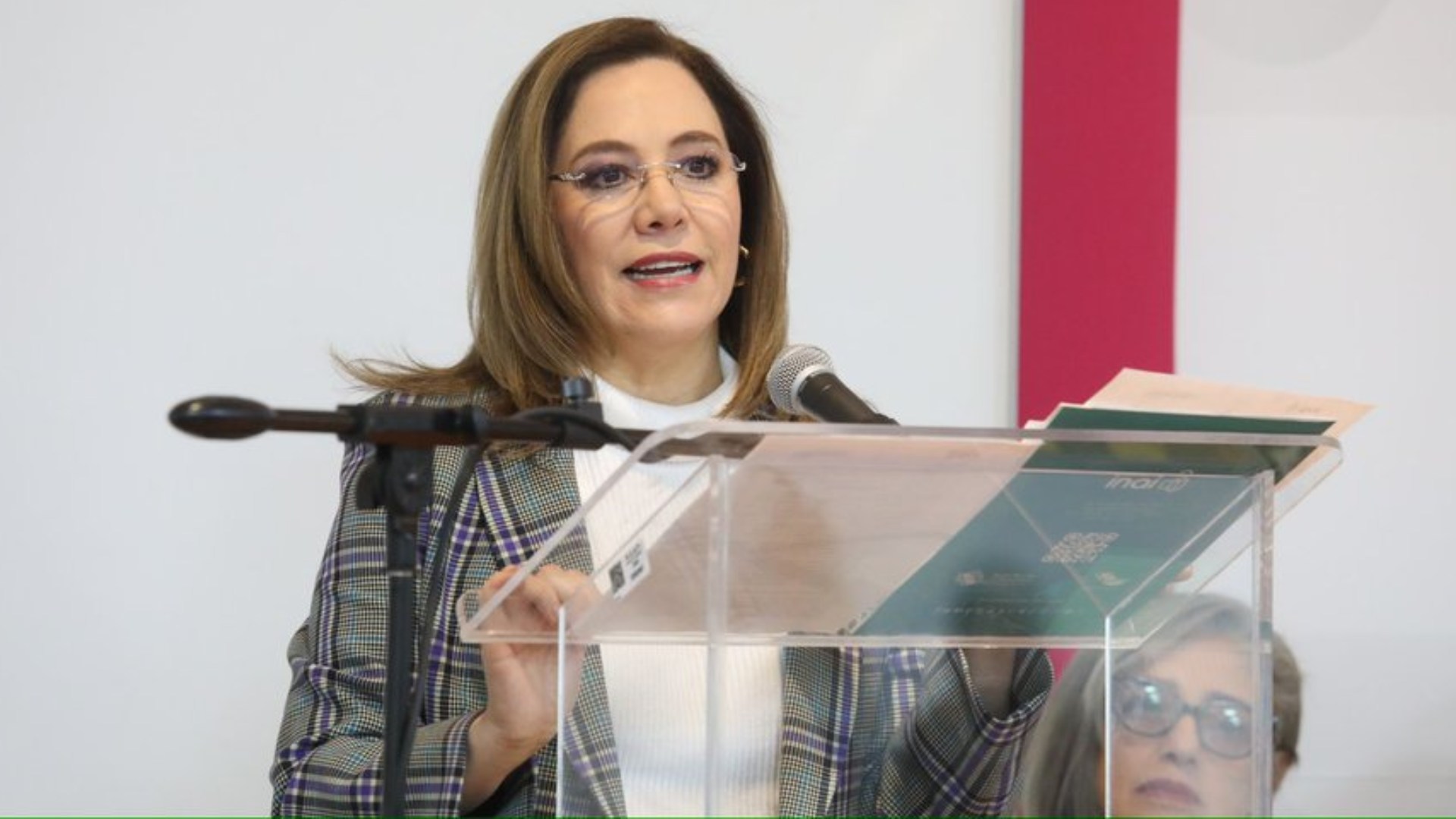 Comisionada Blanca Ibarra lamenta “retroceso” por desaparición del Inai