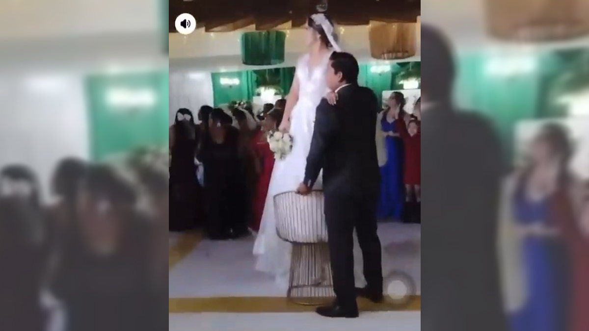 #Video Comando irrumpe en boda en Jalapa, Tabasco; hay 1 muerto y 2 heridos #Video Comando irrumpe en boda en Jalapa, Tabasco; hay 1 muerto y 2 heridos