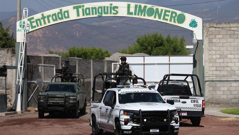 Operación contra extorsión a limoneros en Michoacán acumula 66 detenciones Operación contra extorsión a limoneros en Michoacán acumula 66 detenciones