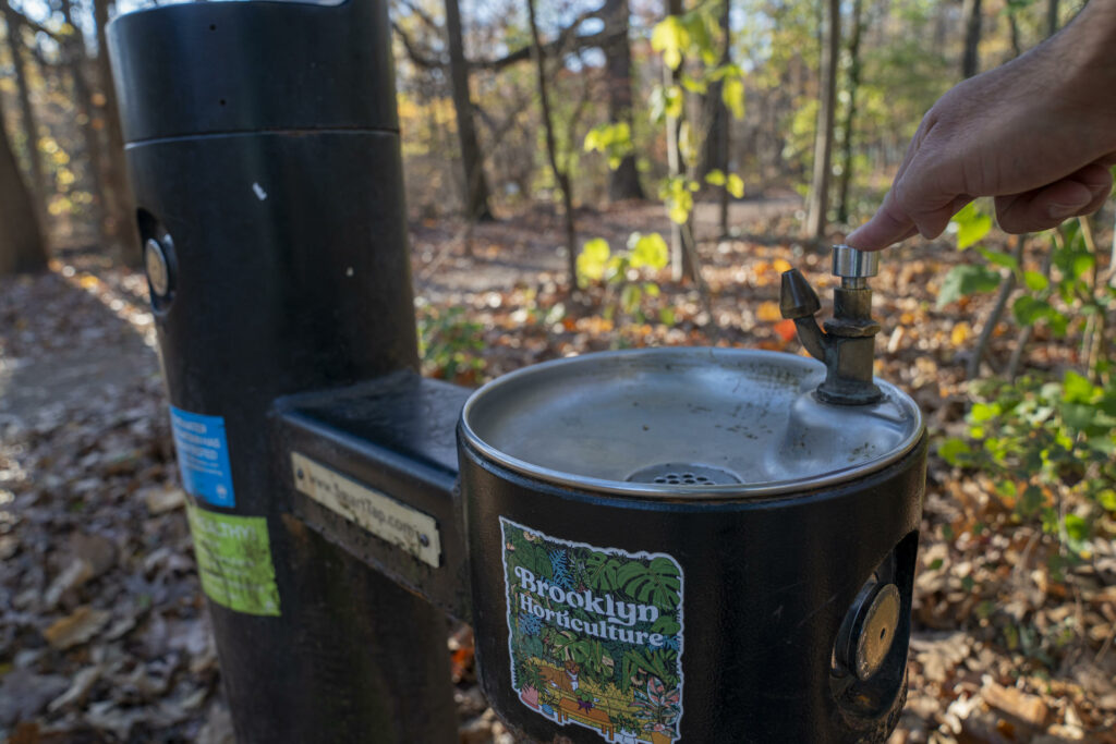 El alcalde de Nueva York prohíbe los fuegos artificiales por la sequía - falta-de-agua-en-nueva-york-1024x683