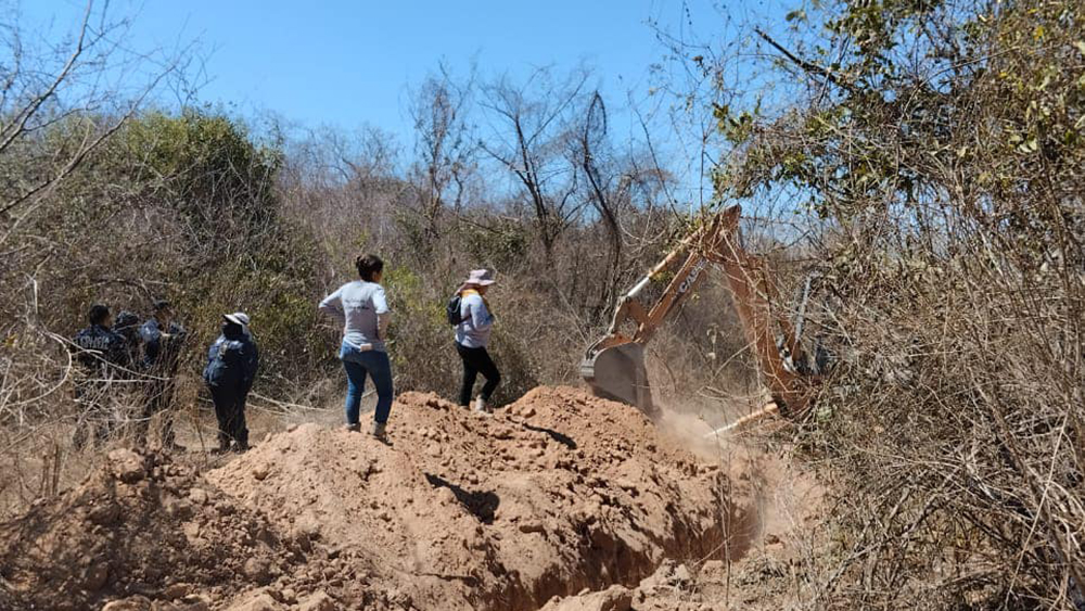 Hallan en Mazatlán cinco cuerpos en dos fosas clandestinas; tres víctimas son mujeres