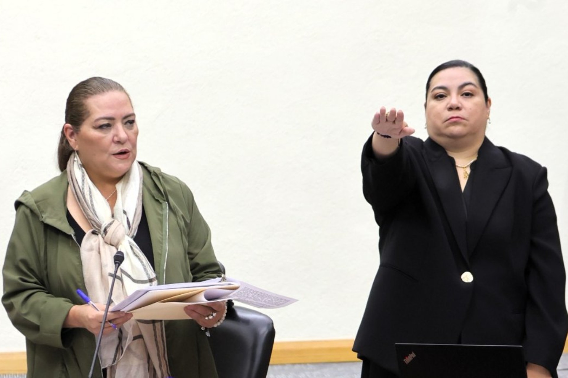 Renuncia encargada de despacho de la Secretaría Ejecutiva del INE