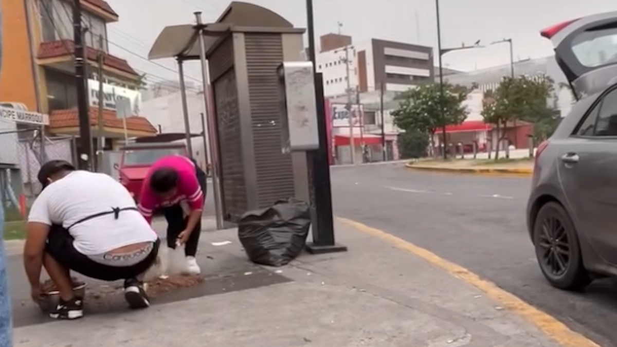 #Video Captan a taqueros en Monterrey recogiendo carne del suelo