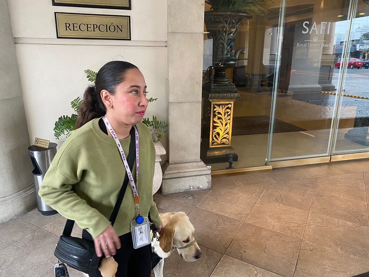 Denuncian discriminación en Hotel Safi contra mujer con discapacidad visual y su perro guía Denuncian discriminación en Hotel Safi contra mujer con discapacidad visual y su perro guía