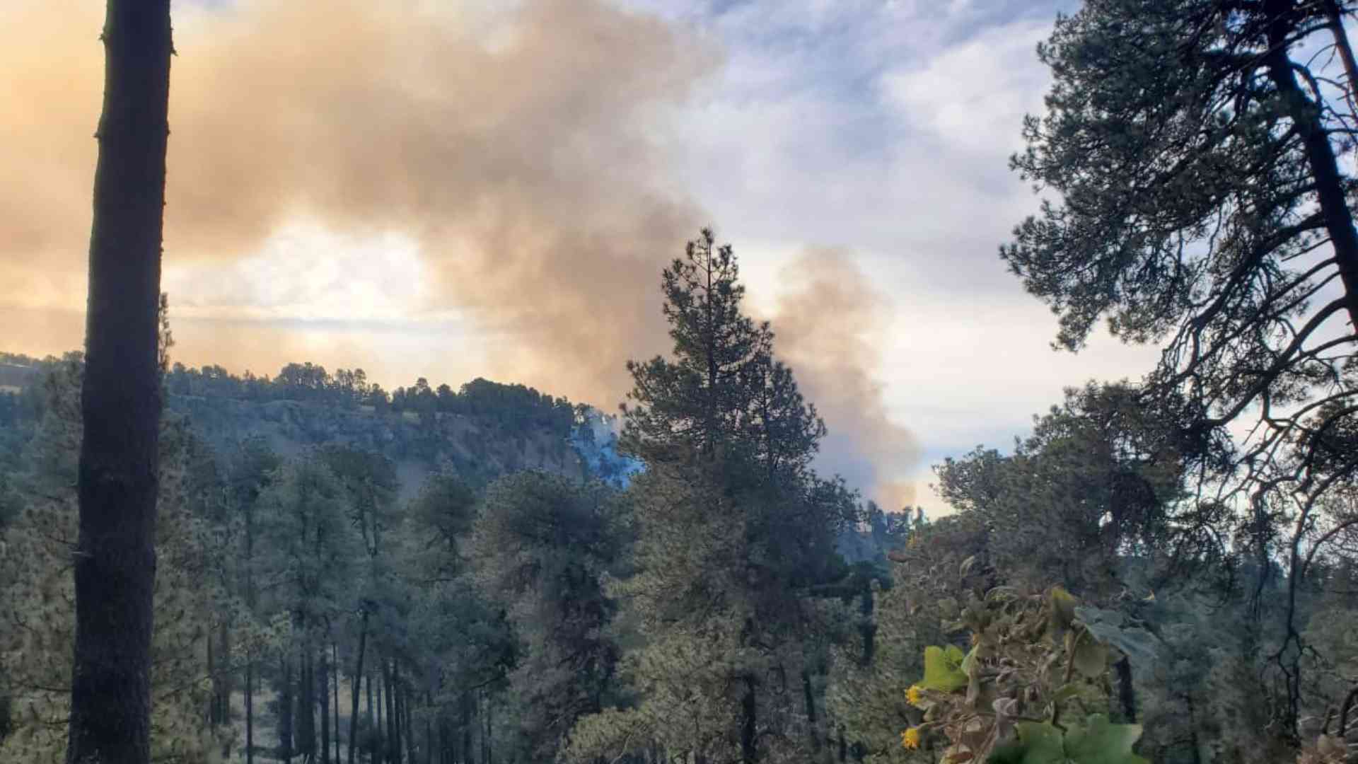 Se registra incendio en Parque Nacional Iztaccíhuatl-Popocatépetl