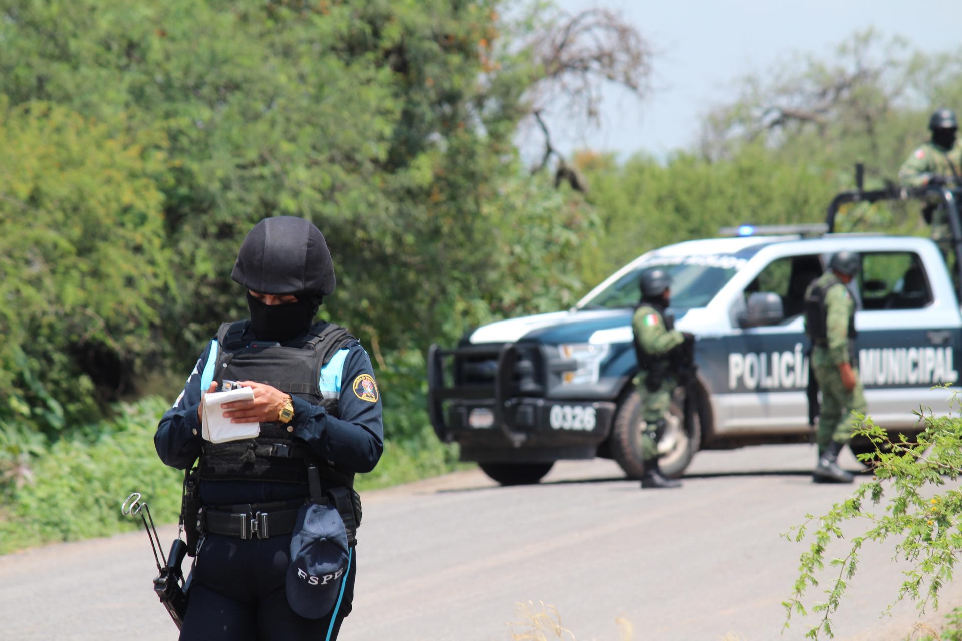 Fuerzas de Seguridad abaten a ocho presuntos sicarios en Guanajuato