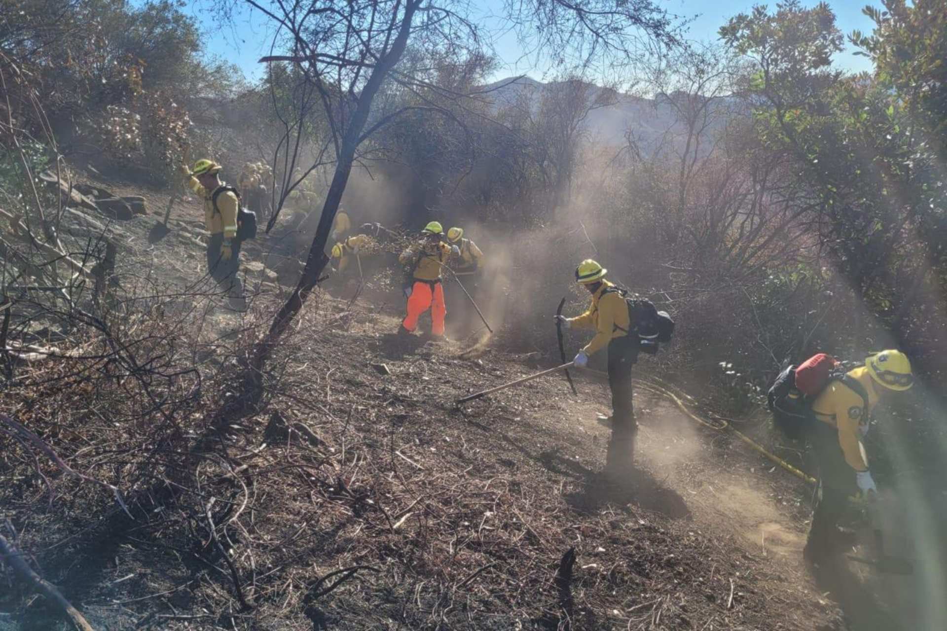 México ofreció su ayuda a Los Ángeles porque somos empáticos ante los desastres: general brigadier Carlos Sánchez México ofreció su ayuda a Los Ángeles porque somos empáticos ante los desastres: general brigadier Carlos Sánchez