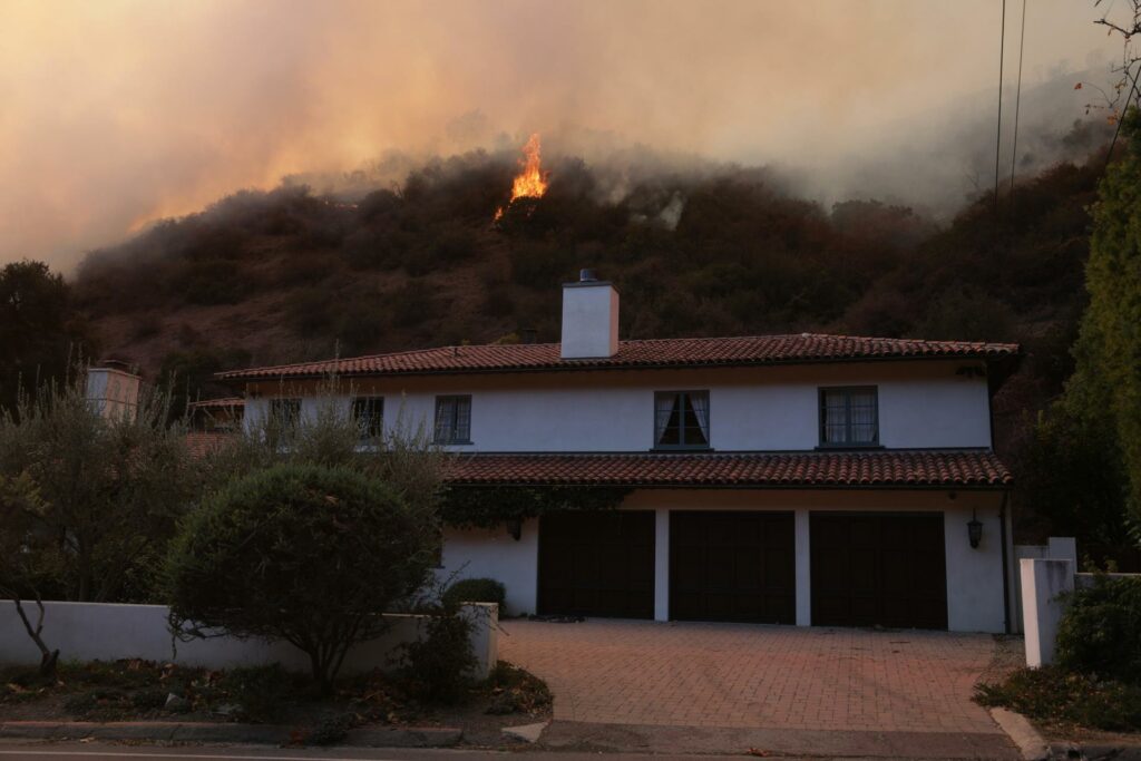 Caballos, cerdos y cacatúas llenan refugios animales de Los Ángeles por los incendios - incendio-en-los-angeles-california-2-1024x683