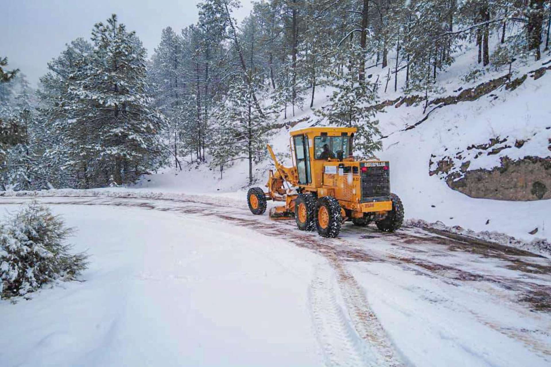 Siguen nevadas y bajas temperaturas en Chihuahua; municipios alcanzan los 21 grados bajo cero