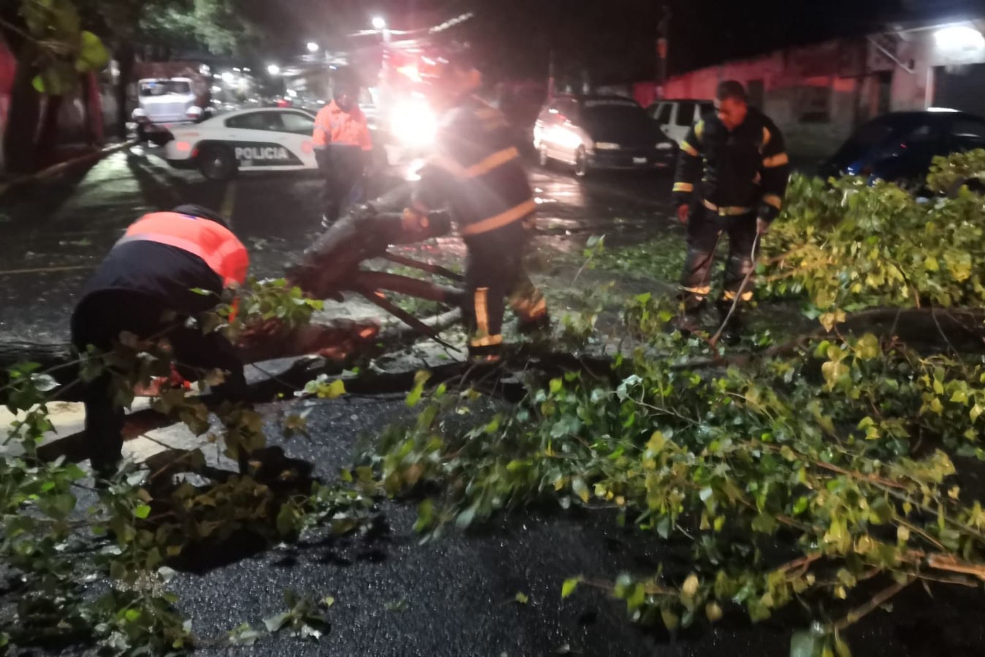 Activan Alerta Amarilla en la CDMX por vientos fuertes para este 11 de enero