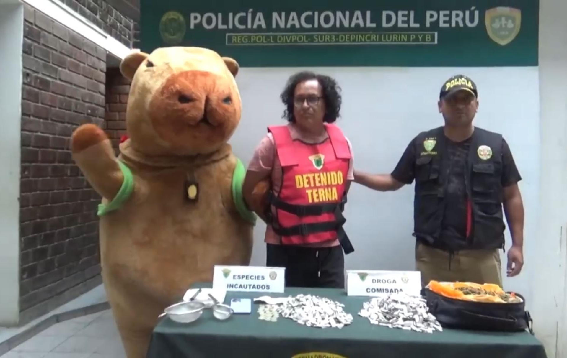Policía peruano se disfraza de la ‘Capibara del amor’ para capturar a traficante de drogas Policía peruano se disfraza de la ‘Capibara del amor’ para capturar a traficante de drogas