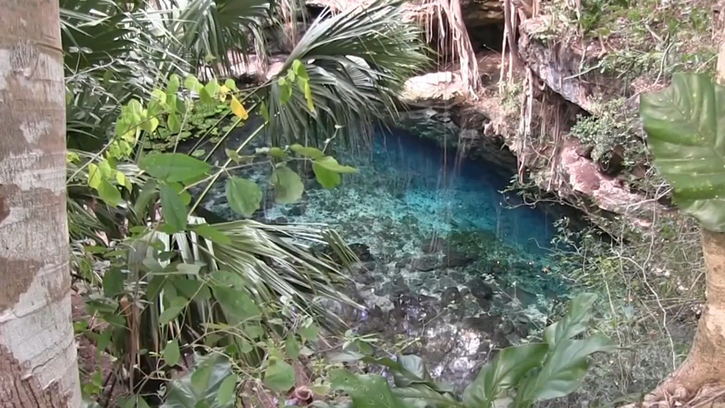 Hallan restos óseos de un perezoso y caballos extintos en cenote de Yucatán Hallan restos óseos de un perezoso y caballos extintos en cenote de Yucatán