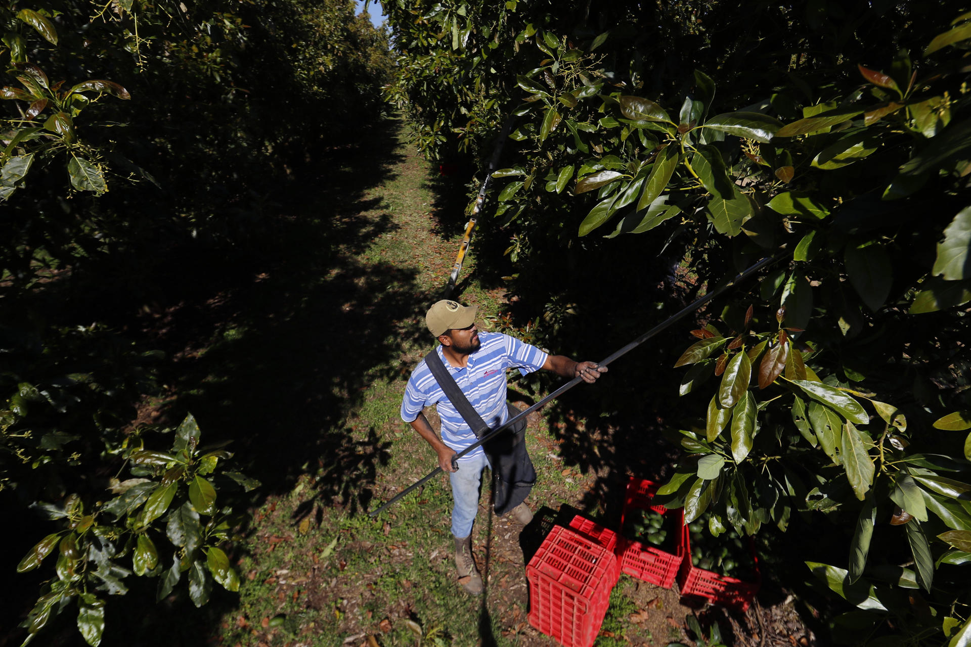 Cuatro claves de la intensa relación comercial México-EE.UU. ante la sombra de aranceles
