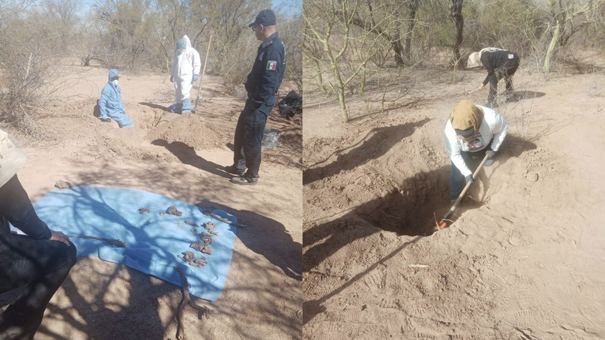 Hallan 40 osamentas en fosas clandestinas en Hermosillo