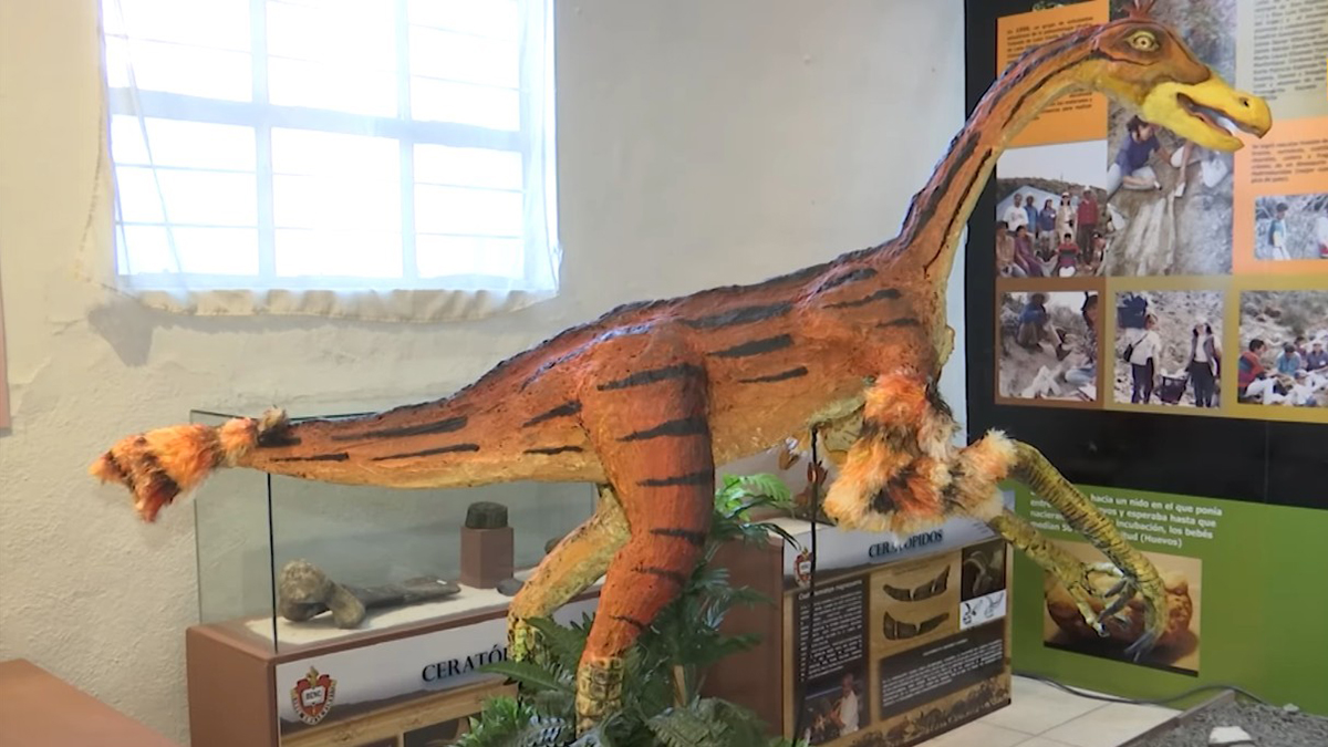 Oficializan nuevo dinosaurio mexicano, hallado en Coahuila