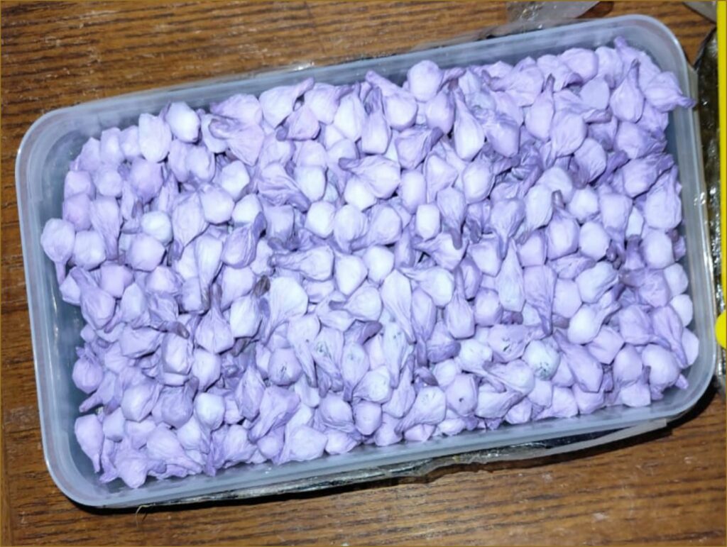 Avanza la Operación Frontera Norte; decomisan arsenales y drogas - operacion-frontera-norte-en-baja-california-1024x771