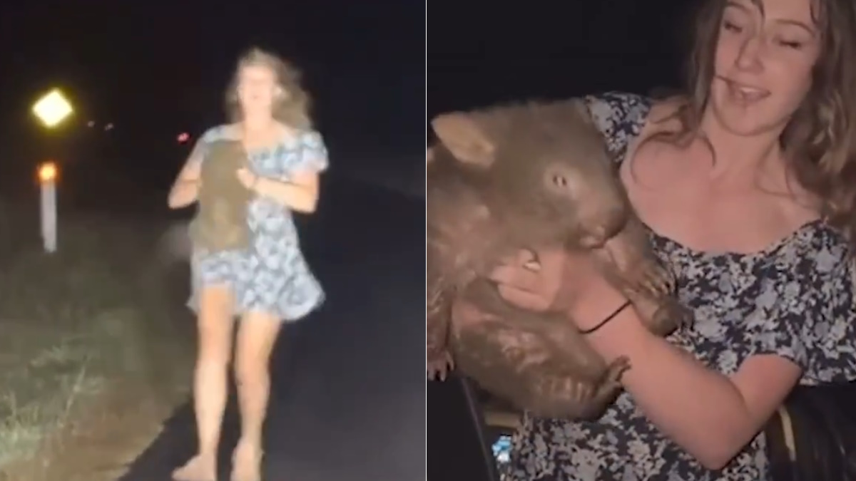 “Influencer” que indignó a Australia por capturar una cría de wombat abandona el país