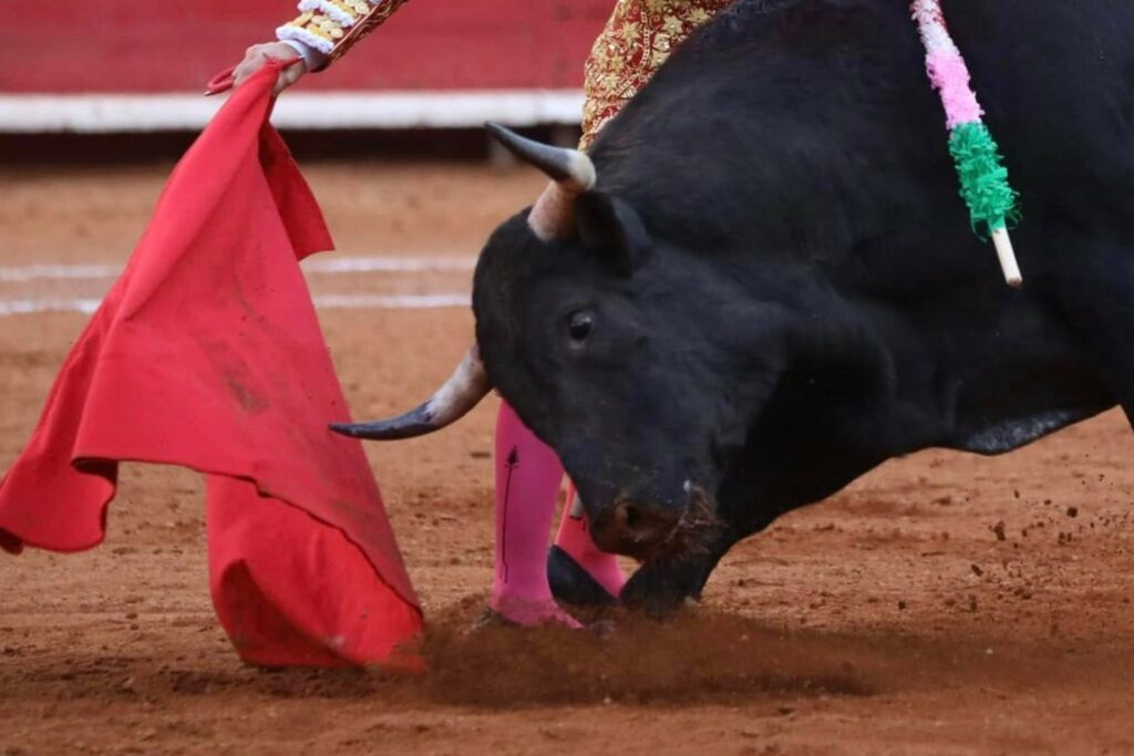 Publican decreto que prohíbe los corridas de toros con violencia en CDMX