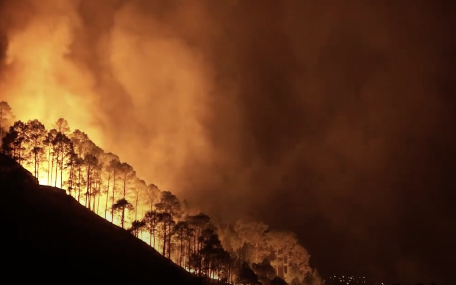 21 universidades firman la Declaratoria Nacional de Compromiso Climático