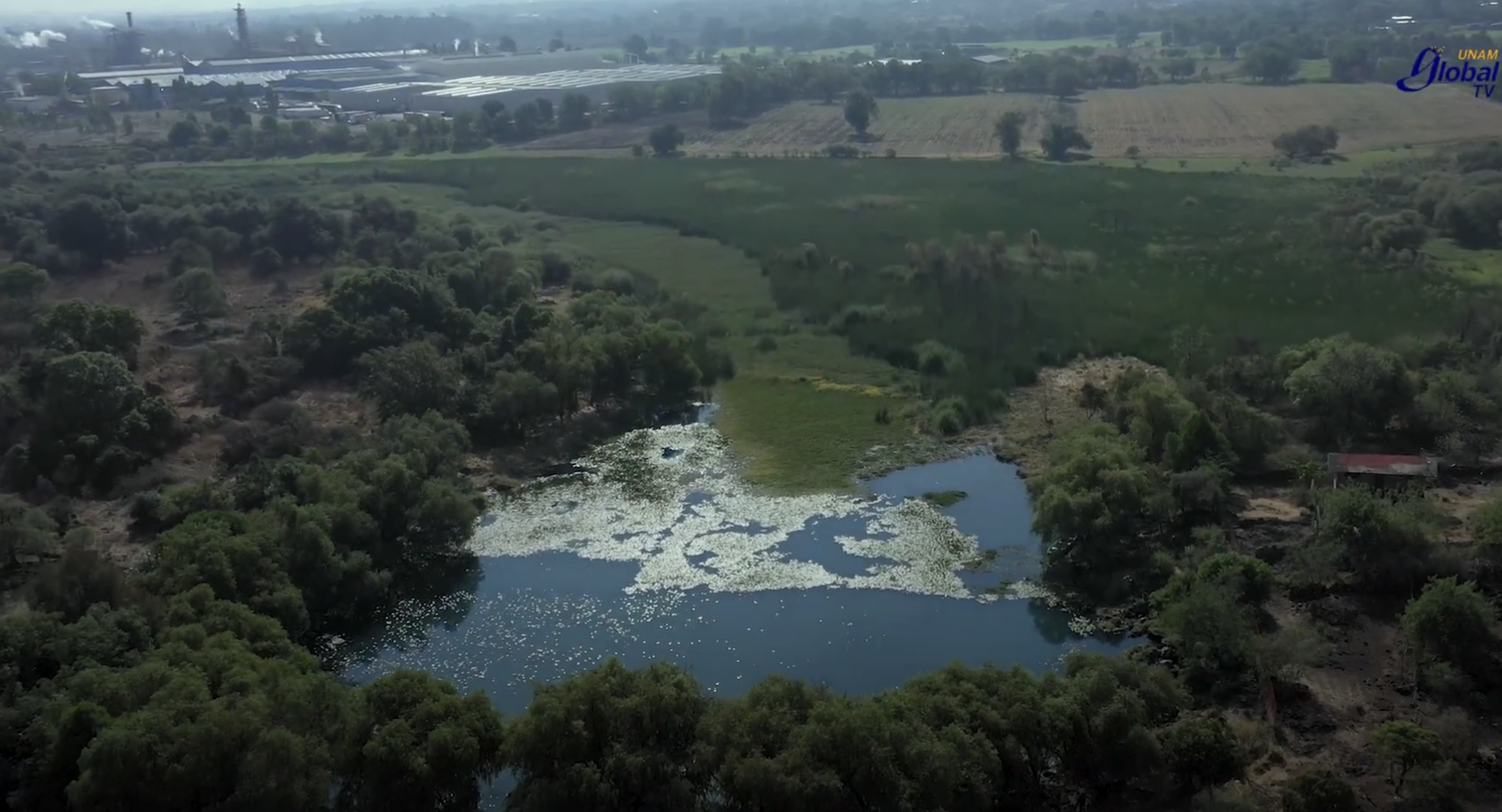 Salvando a Mintzita, el manantial que busca sanar Salvando a Mintzita, el manantial que busca sanar
