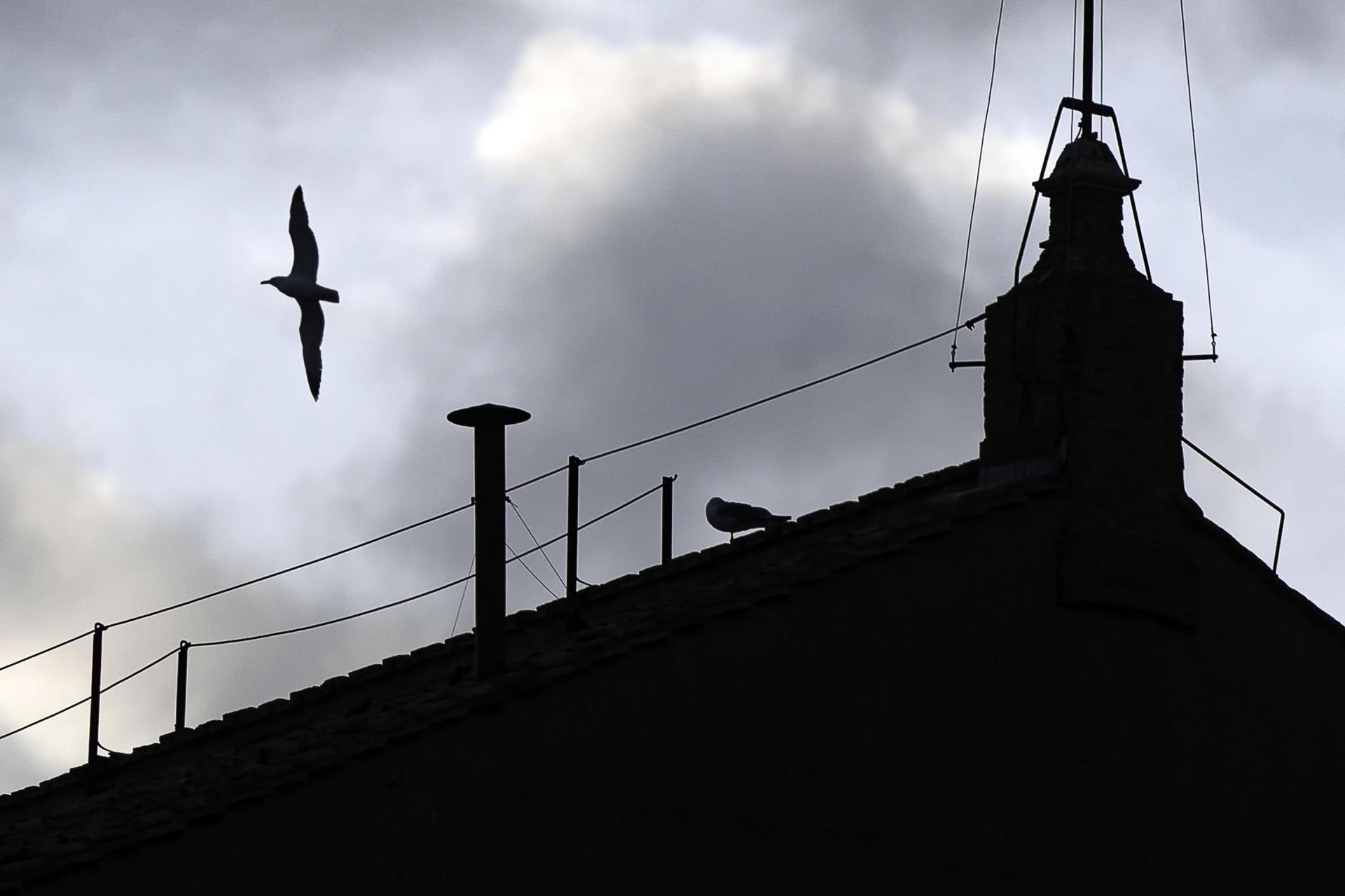 Ya colocaron en la Capilla Sixtina la chimenea para el cónclave Ya colocaron en la Capilla Sixtina la chimenea para el cónclave
