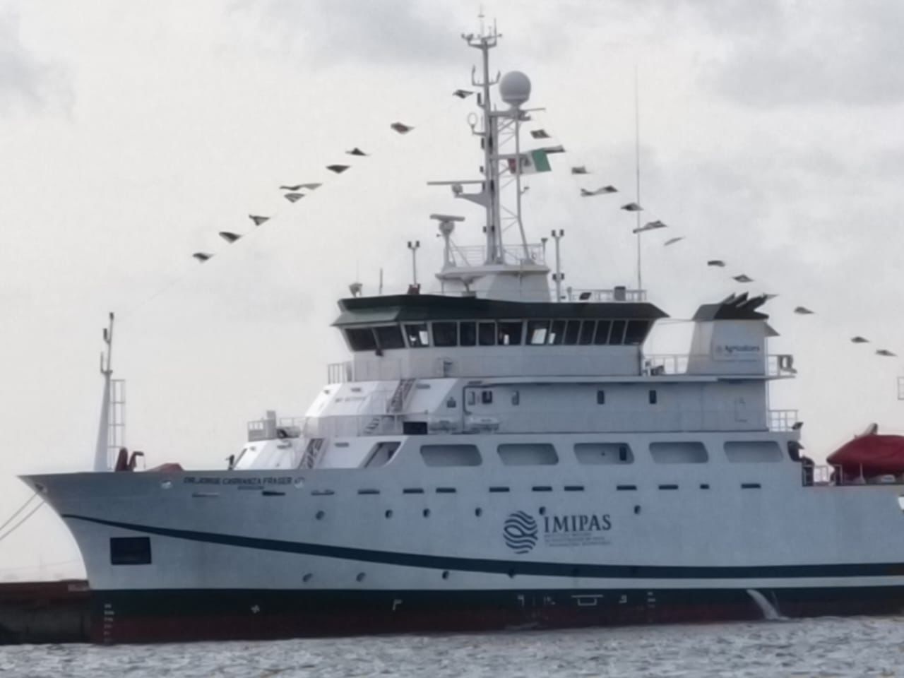 Realizan investigación de alto nivel en Quintana Roo para atención del sargazo