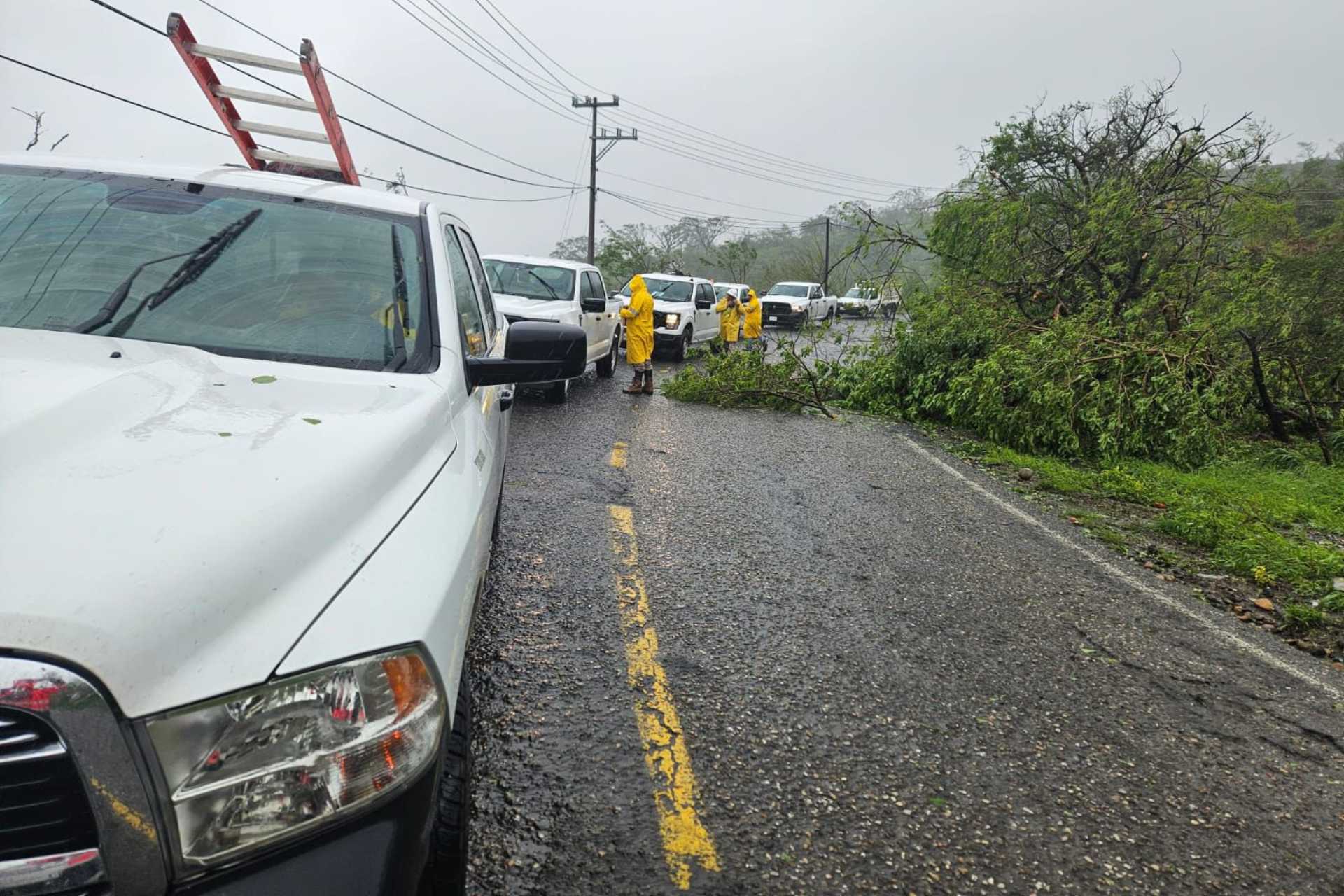 ¿Cuántos usuarios de CFE resultaron afectados por el huracán “Erick” en Oaxaca?