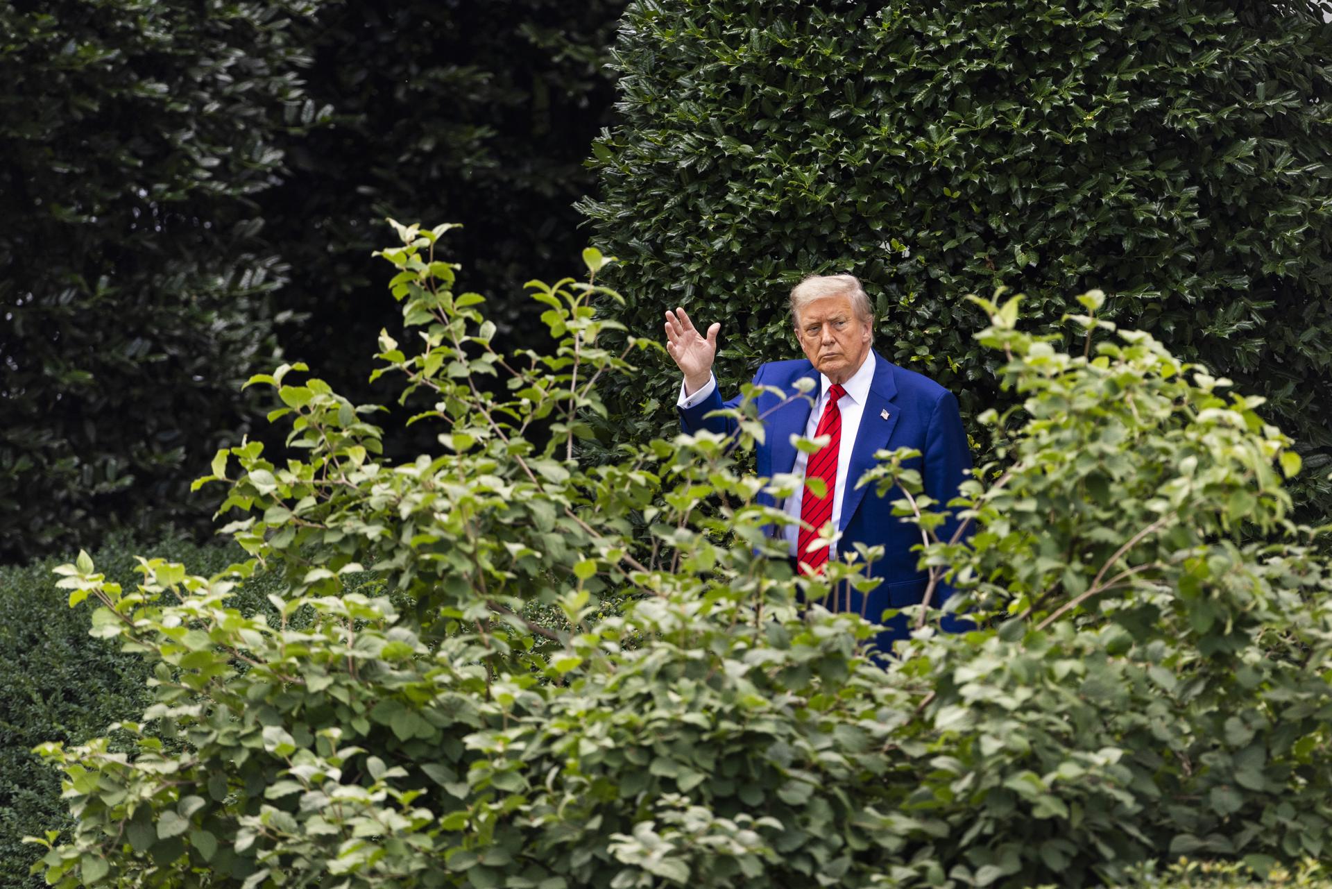 Trump ordena pavimentar el emblemático jardín de rosas de la Casa Blanca