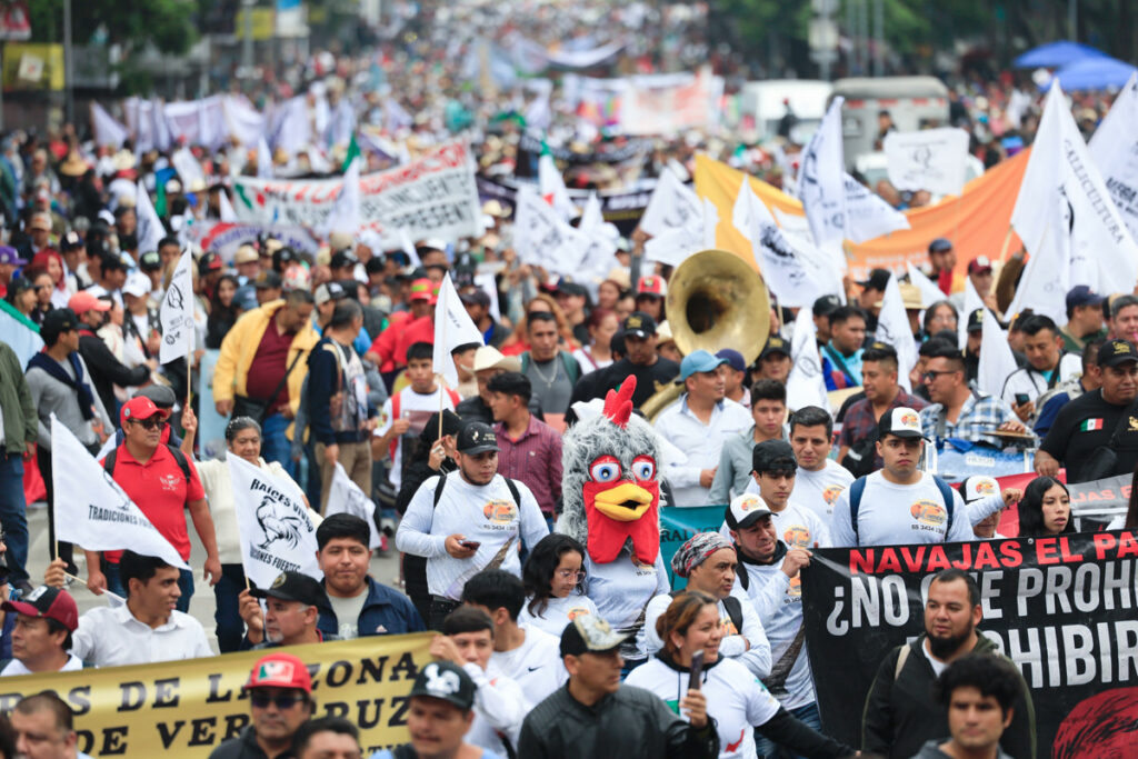 Marchan en la CDMX a favor de las peleas de gallos y las corridas de toros - marchan-en-la-cdmx-a-favor-de-las-peleas-de-gallos-y-las-corridas-de-toros-3-1024x683