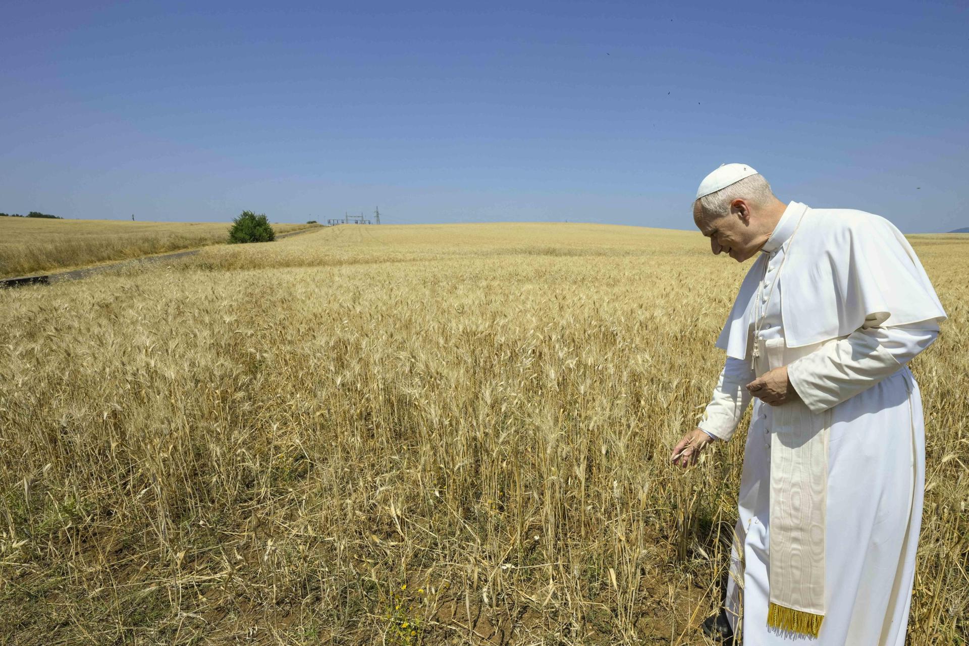 Papa León XIV aprueba decretos para beatificar 124 andaluces asesinados en la Guerra civil