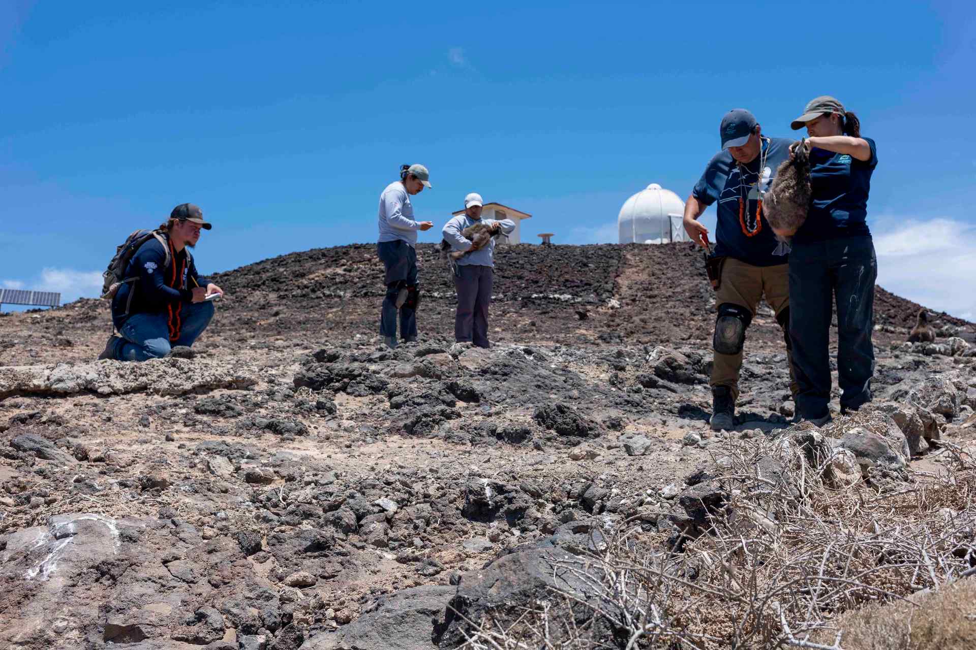 Restauración integral de las islas de México, premiado como Iniciativa Emblemática de Restauración Mundial de la ONU