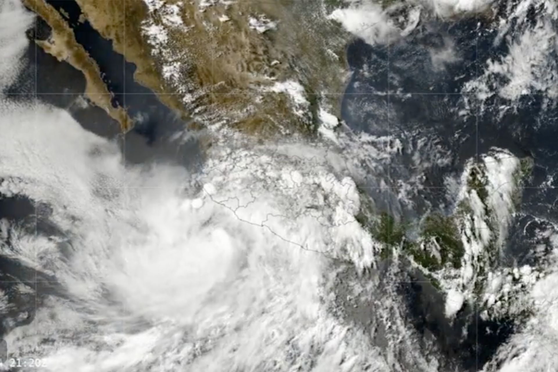 “Dalila” avanza en el Pacífico mexicano; habrá lluvias intensas a torrenciales en 5 estados