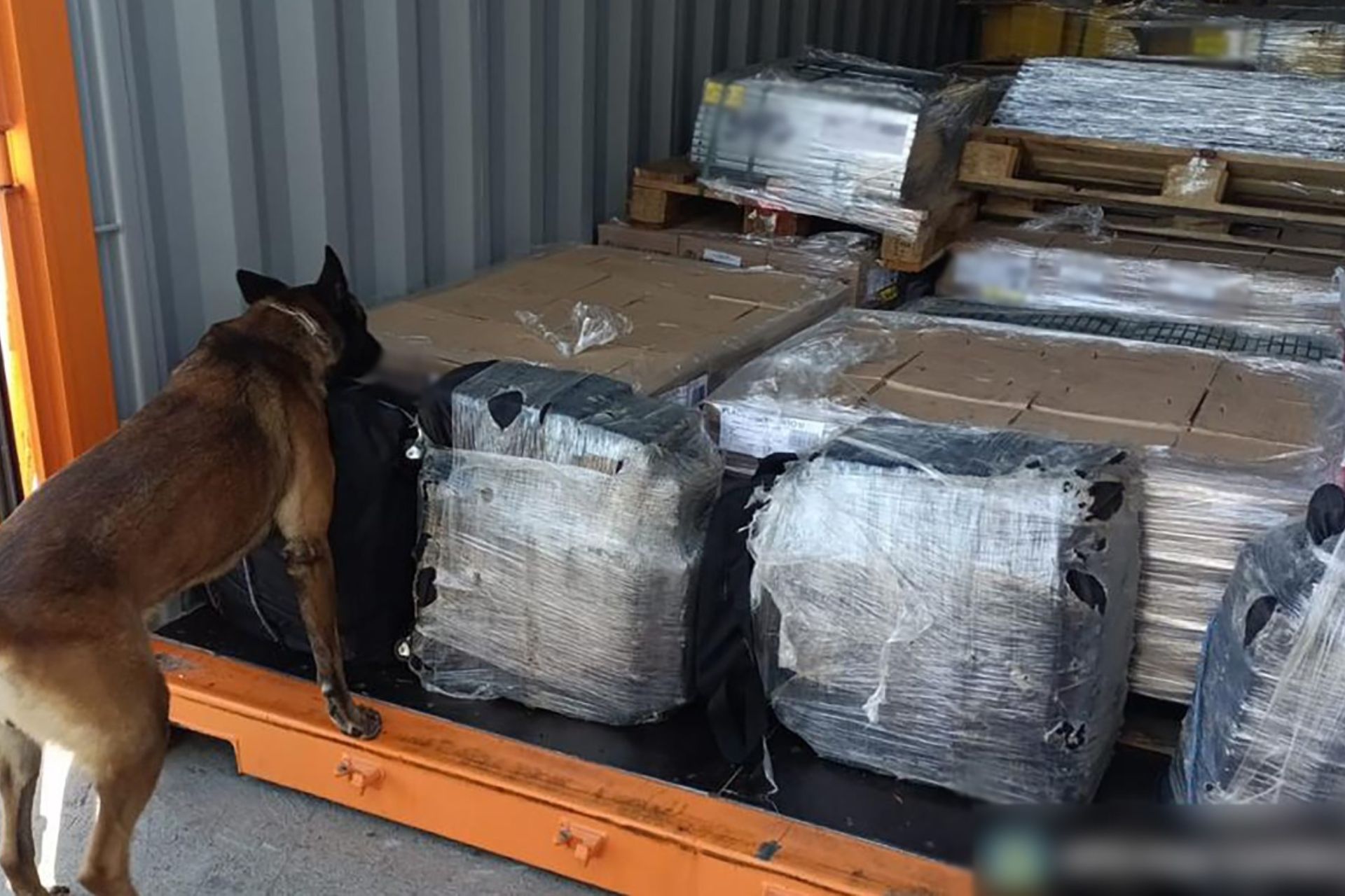 Aseguran 200 kilos de cocaína en Aduana de Ensenada, Baja California