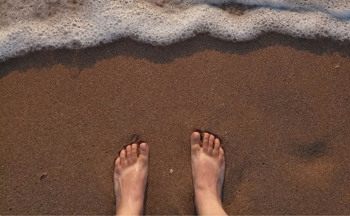 Bacteria carnívora suma 4 muertos en Florida; ¿qué es y cómo se contrae?