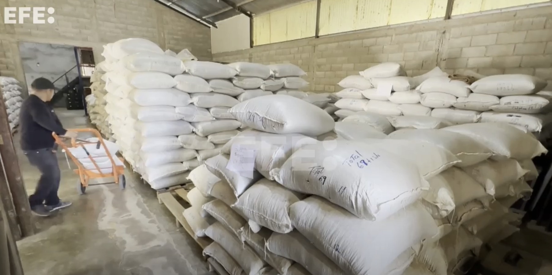 Una ventana al complejo mundo del café de lujo en Panamá