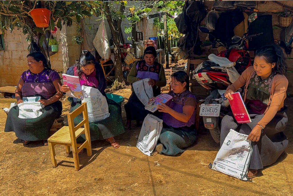 Jóvenes tzotziles luchan contra el analfabetismo de adultos mayores en Chiapas - e6018a88e5cc1837d7065232a9e104ed52c9f73cw-1024x684