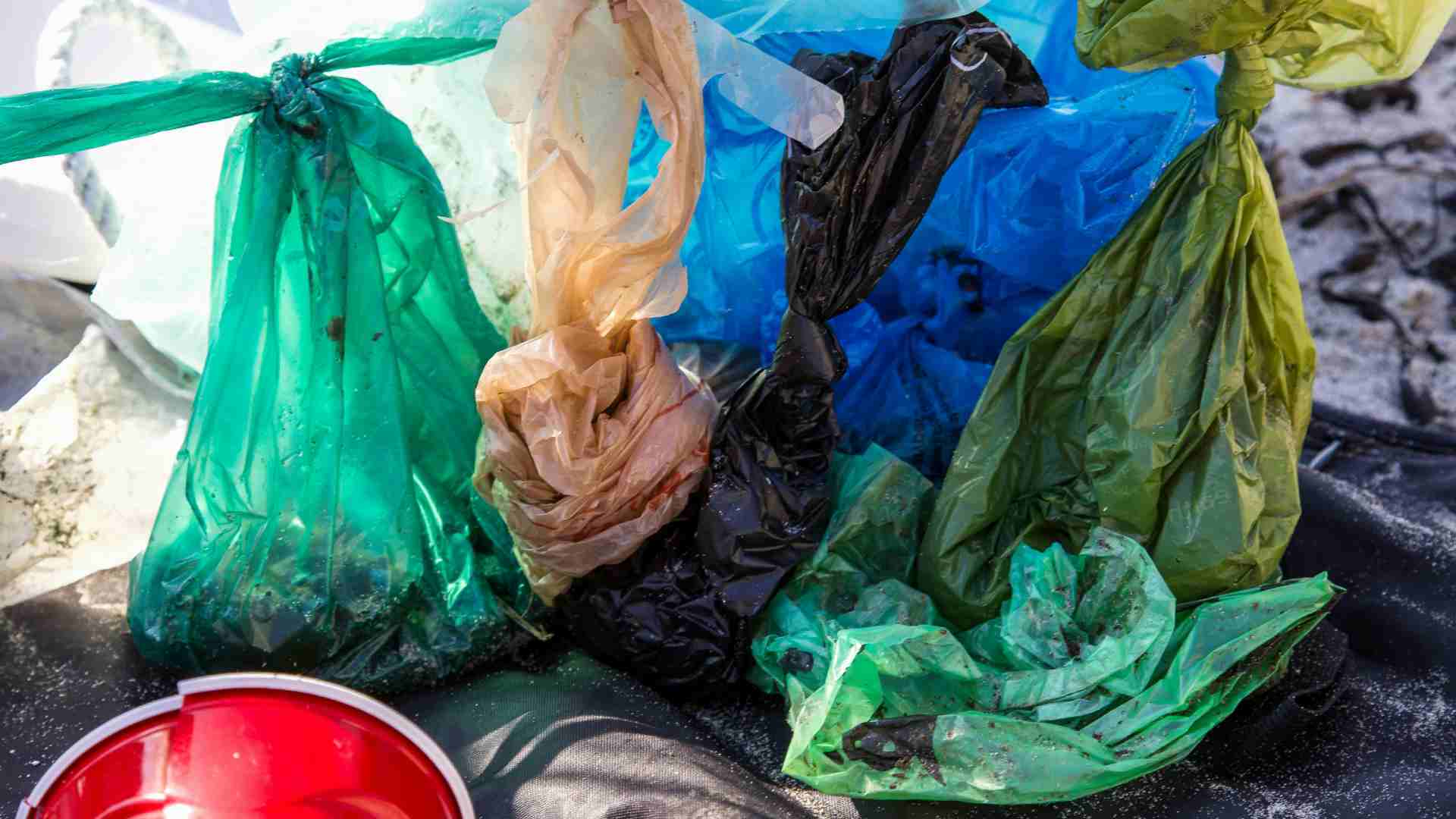 Greenpeace México insta al Senado a prohibir los plásticos de un solo uso en el país