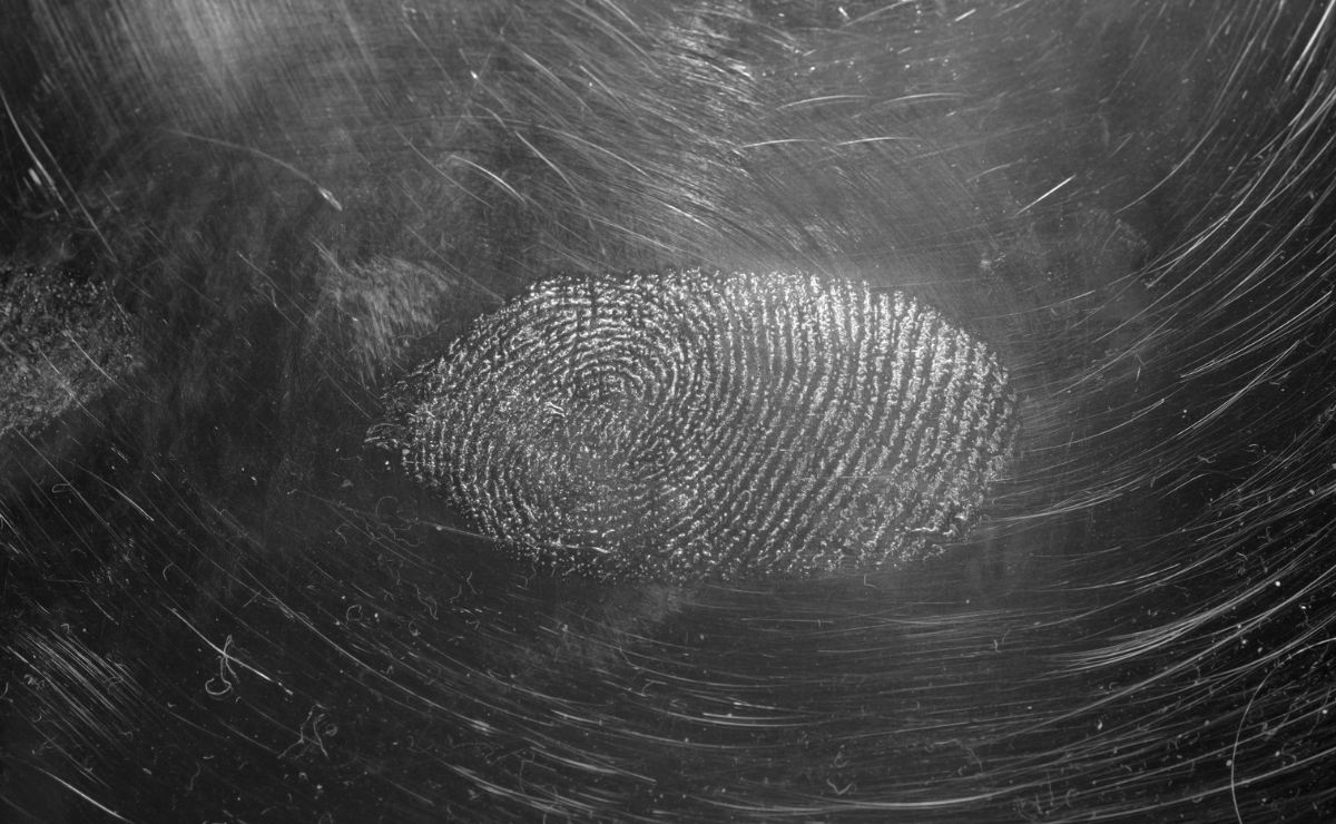 ¿Qué es la CURP biométrica?, esto es lo que debes saber ¿Qué es la CURP biométrica?, esto es lo que debes saber