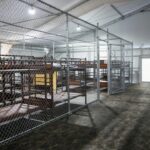 Constatan uso de jaulas y otros abusos a migrantes en Alligator Alcatraz