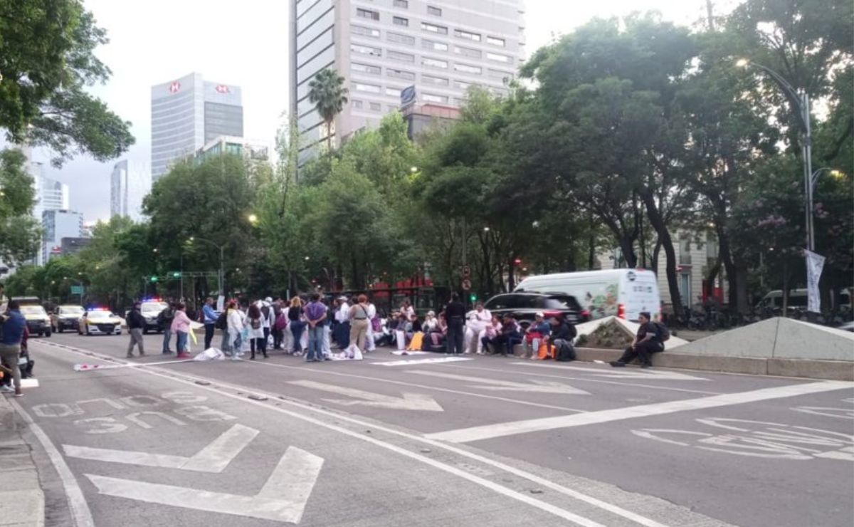 Marchas hoy 15 de julio en CDMX: el albergue Pergatuzoo y trabajadores del campo tomarán las calles