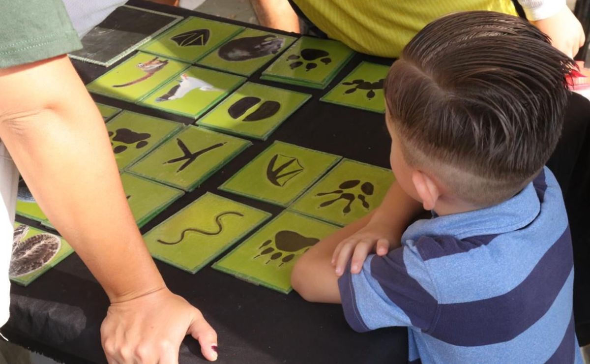 Estudio hecho entre niños mexicanos relaciona la exposición al plomo con la mala memoria Estudio hecho entre niños mexicanos relaciona la exposición al plomo con la mala memoria