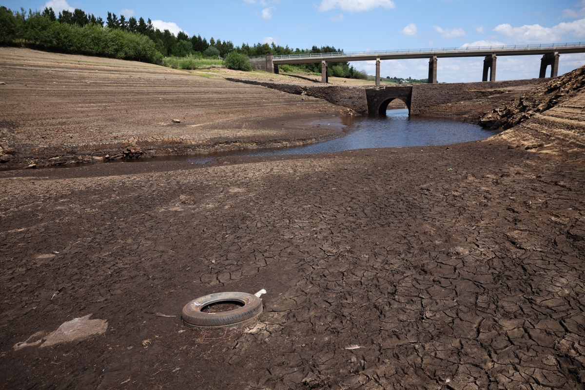 Desde 2023 se registran periodos de sequía más dañinos y generalizados, según estudio