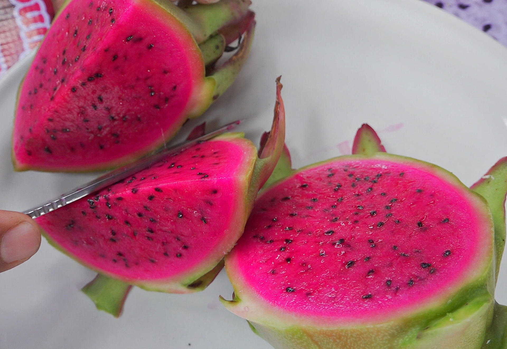 Productores de Oaxaca apuestan por cultivo de la pitahaya para arraigar a juventud