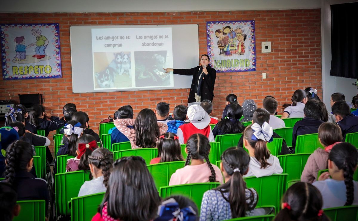 ¿Cuándo regresan a clases los alumnos de primaria?; esto dice la SEP
