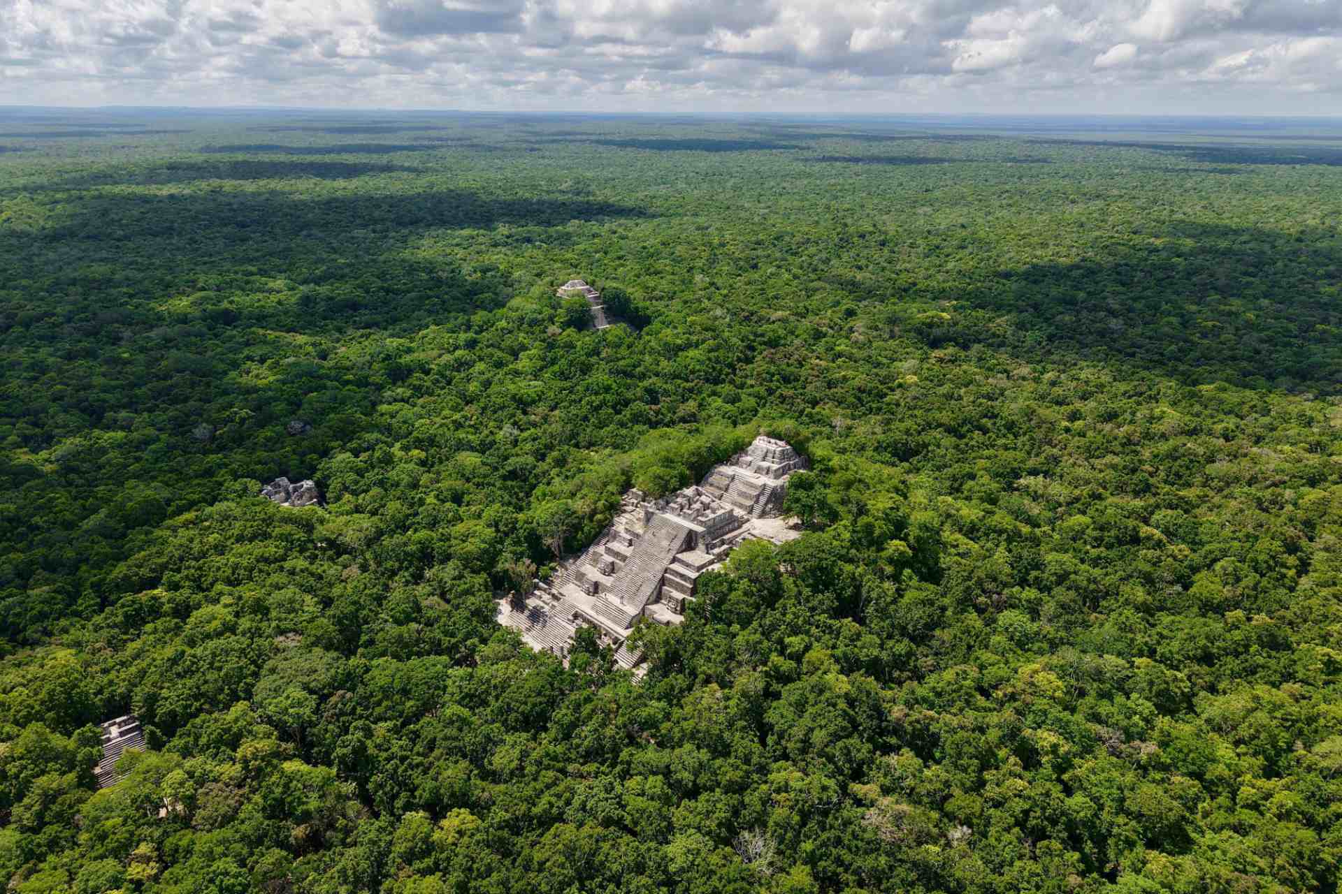 Sheinbaum celebra la firma del acuerdo con Belice y Guatemala para proteger la selva maya Sheinbaum celebra la firma del acuerdo con Belice y Guatemala para proteger la selva maya