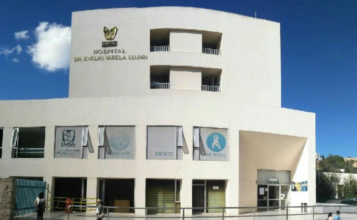 Muere adolescente de 17 años en Zacatecas por posible rabia Muere adolescente de 17 años en Zacatecas por posible rabia