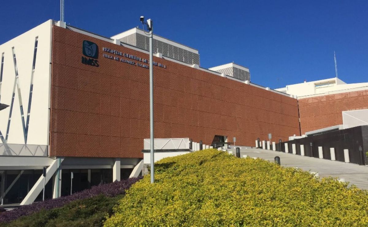 Colima informa muerte de hombre por rabia; es el segundo caso a nivel nacional Colima informa muerte de hombre por rabia; es el segundo caso a nivel nacional