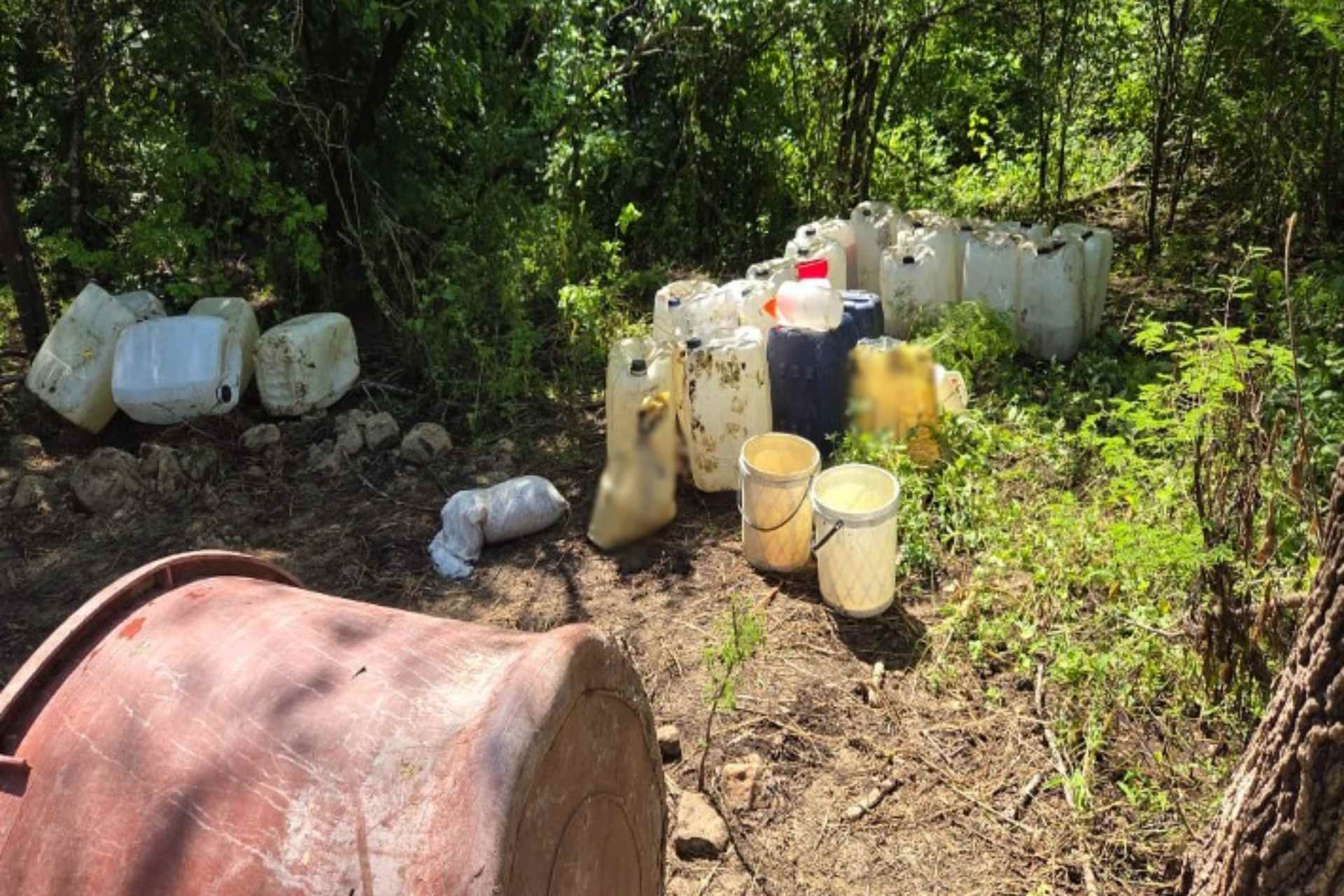 Destruyen seis laboratorios clandestinos en Sinaloa; afectación al crimen es de 219 mdp
