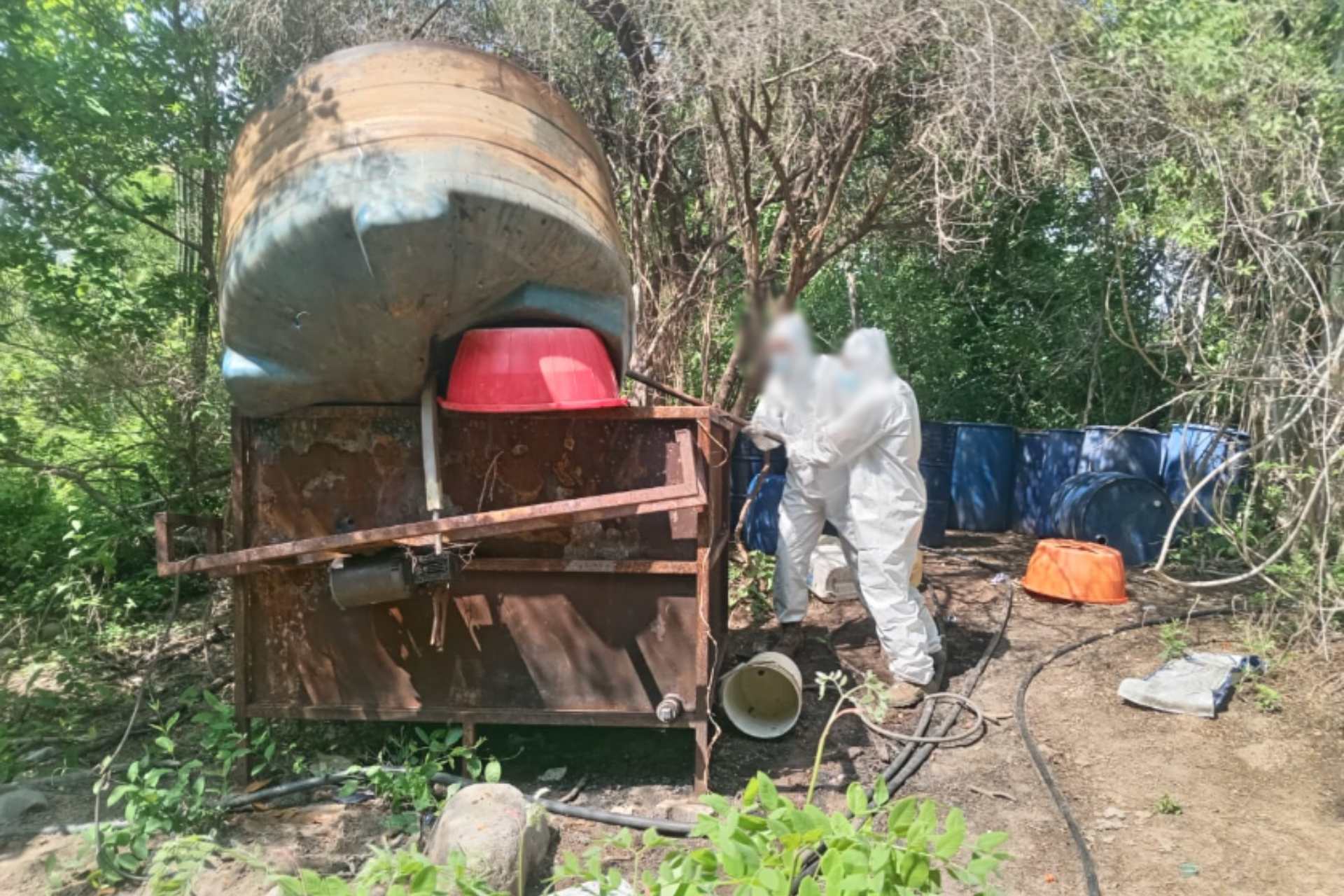 Destruyen seis laboratorios clandestinos en Sinaloa; afectación al crimen fue de 139 mdp