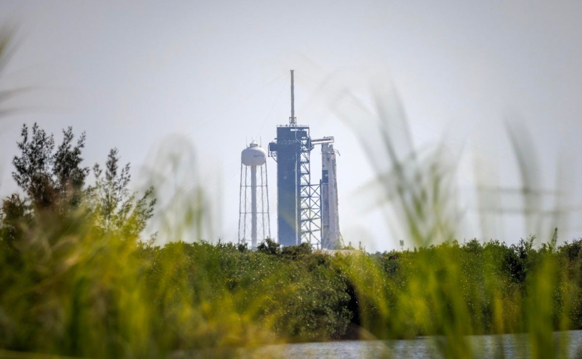 Despega la misión Crew-11 de la NASA y SpaceX rumbo a la EEI